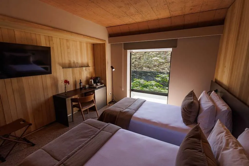 Hualta Hotel Mendoza, Curio Collection By Hilton 阿根廷