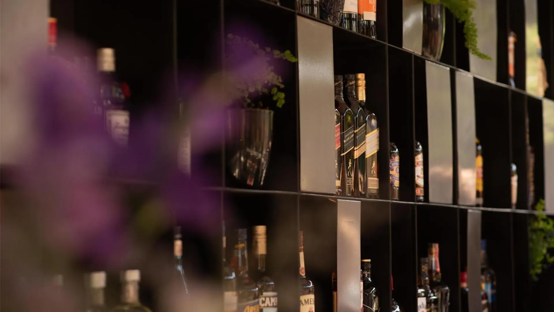 Hualta Hotel Mendoza, Curio Collection By Hilton  门多萨