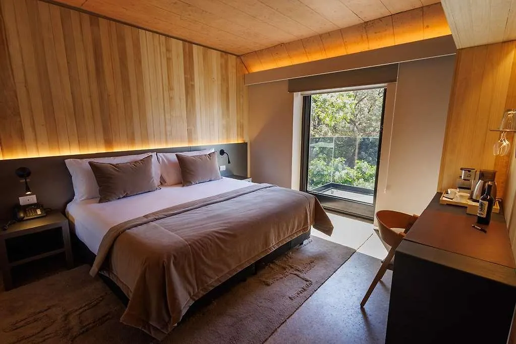 Hualta Hotel Mendoza, Curio Collection By Hilton