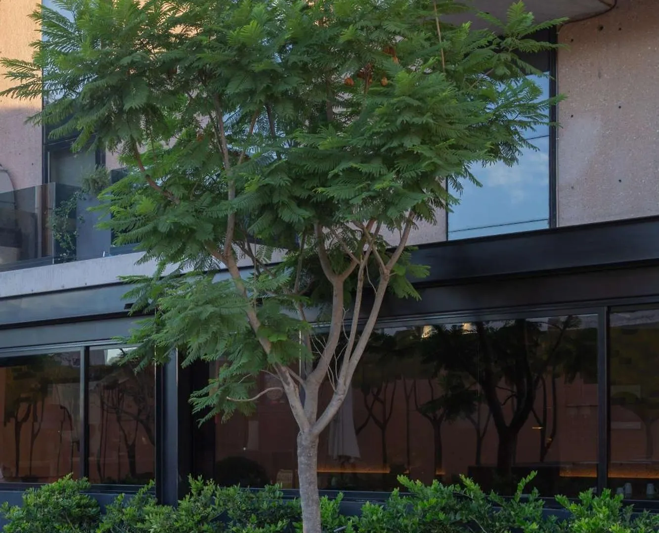 ****  Hualta Hotel Mendoza, Curio Collection By Hilton Argentina